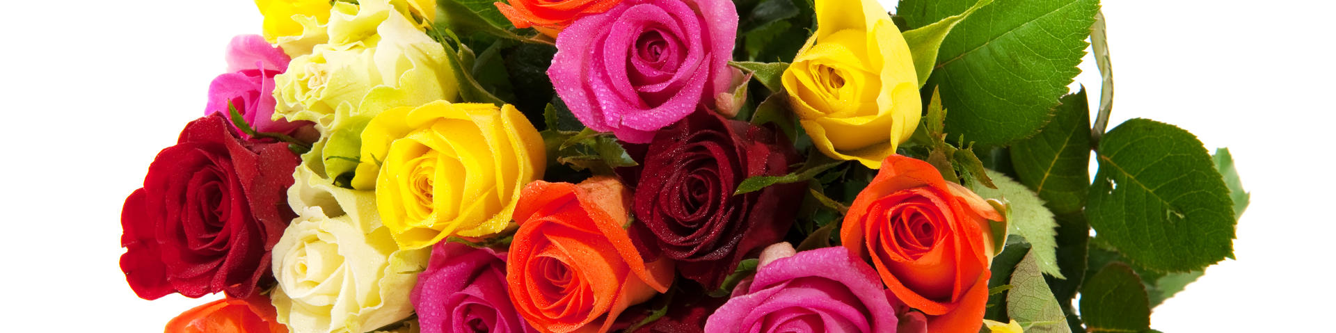     <div class="container flex-box justify-content-center">        <div class="text-wrapper">            <h1>Beautiful Roses</h1>            <h2>Grown especially for you in Mosgiel</h2>        </div><a href="/category/5/Bouquets" class="primary-btn">See More</a>    </div>